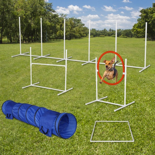 6-piece Dog Agility Training Equipment Set